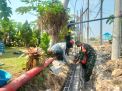 Babinsa Dukuh Laksanakan Karya Bakti Pembangunan Pagar Pondok Pesantren