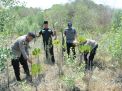 Peringati HUT Humas Polri ke-72, Jajaran Polres Gresik Tanam Mangrove di Kali Mireng