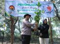 Minimalisir Abrasi Bidhumas Polda Jatim dan Jajaran Tanam Ribuan Bibit Mangrove
