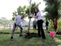 Pemkot Surabaya Siap Percantik Pinggiran Sungai Kalimas Dengan Pohon Tabebuya