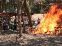 Lokasi Sabung Ayam Desa Jeruk Legi Di Bakar Pasukan Kamtibmas Wilayah Balongbendo