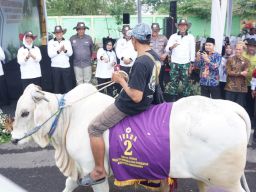 Ini Dia Pemenang Kontes Ternak yang di Gelar Pemkab Bojonegoro