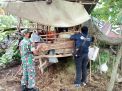 Babinsa Bungah Dampingi Pemberian Suntik Vaksin pada Hewan Ternak di Wilayahnya