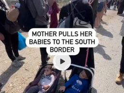 Palestine Needs Help