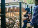 Libur Nataru 2024, Pemkot Surabaya Siapkan Strategi Hadapi Lonjakan Wisatawan