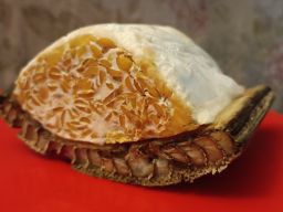 Tempe "Gedebok" Buatan Warga Parengan Tuban Menggugah Selera