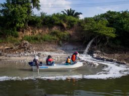 Sungai Brantas Makin Panas, Plankton Kali Brantas Punah, Mendesak Penegakan Hukum Pelaku Pencemaran Kali Brantas