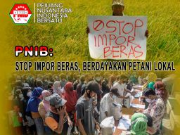 PNIB: Stop Impor Beras, Berdayakan Petani Lokal yang Sudah Lelah Menjerit