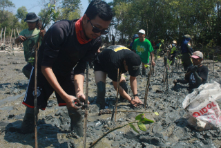 Skema Ruang Lingkup Hutan Mangrove Surabaya menyusut di Tahun 2020