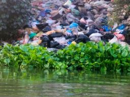 Sungai Brantas Sakit: Hasil Audit Kesehatan dari Ronda Sungai