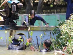 Lestarikan Pesisir Pantai, Lanudal Juanda Bersama Mahasiswa UHT Tanam Ribuan Bibit Mangrove