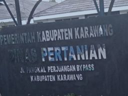 Karena Beda Pilihan politik kabid dan Kasi PSP Distan Karawang Tidak Harmonis Dengan Kadis