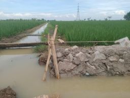 Pembangunan Drainase dusun Wagir Lumbung Diduga Dikerjakan Asal Jadi Kabid SDA Dan Pengawas PUPR Masa Bodoh