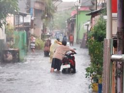 Surabaya Dikepung Banjir, LPAS Soroti Walikota Layak Minta Ganti Rugi Kontraktor.