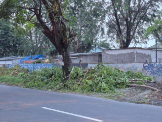 Warga Keluhkan Sisa Pohon yang Ditebang Pihak KAI di Stasiun Karawang Belum Dibuang