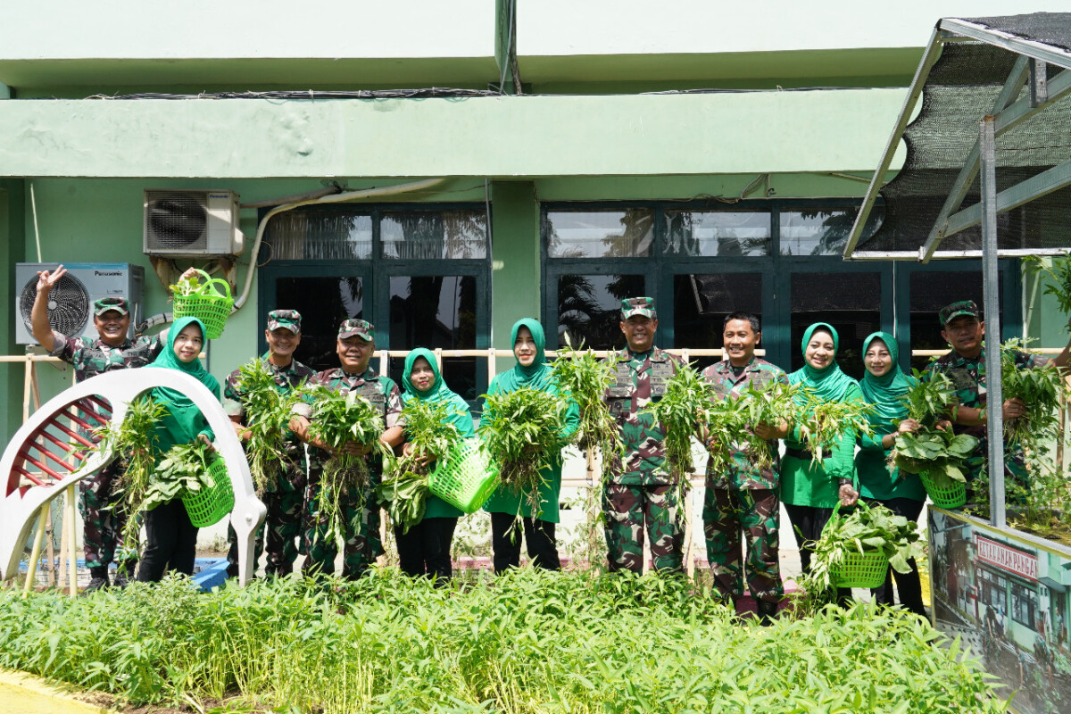 Prajurit, PNS dan Persit Kembali Panen Sayuran dari Teknologi Akuaponik