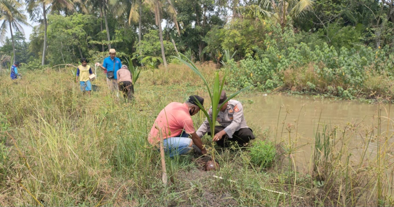 Bhabinkamtibmas Bersama Kades dan Pemdes Serta Masyarakat Desa Tanjungjaya Kecamatan Tempuran Bhakti Sosial Menanam Pohon Kelapa Dalam Rangka Penghijauan