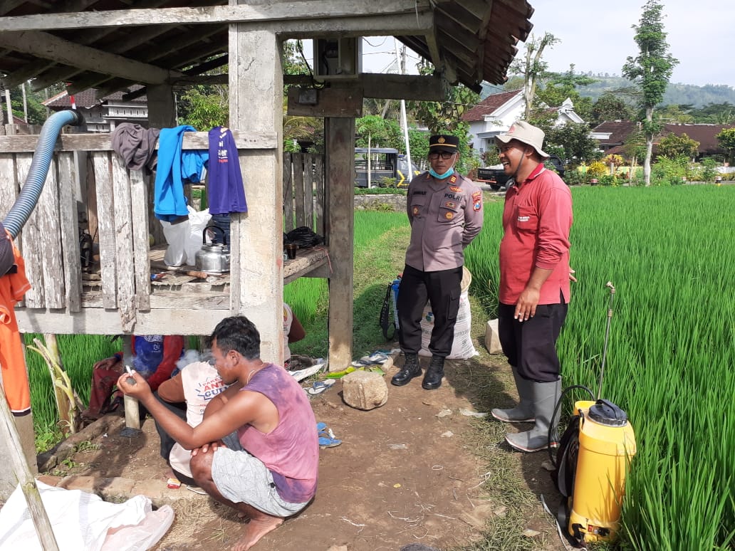Polsek Tugu Polres Trenggalek Gelar PadiMas untuk Aspirasi Petani