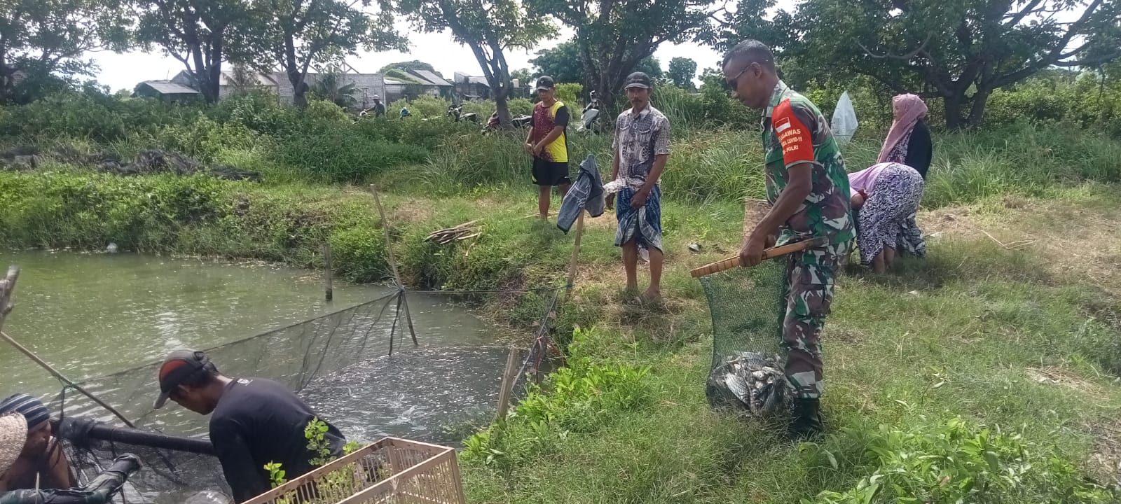 Sukseskan Usaha Warga Binaan, Babinsa Bantu Panen Ikan Mujair