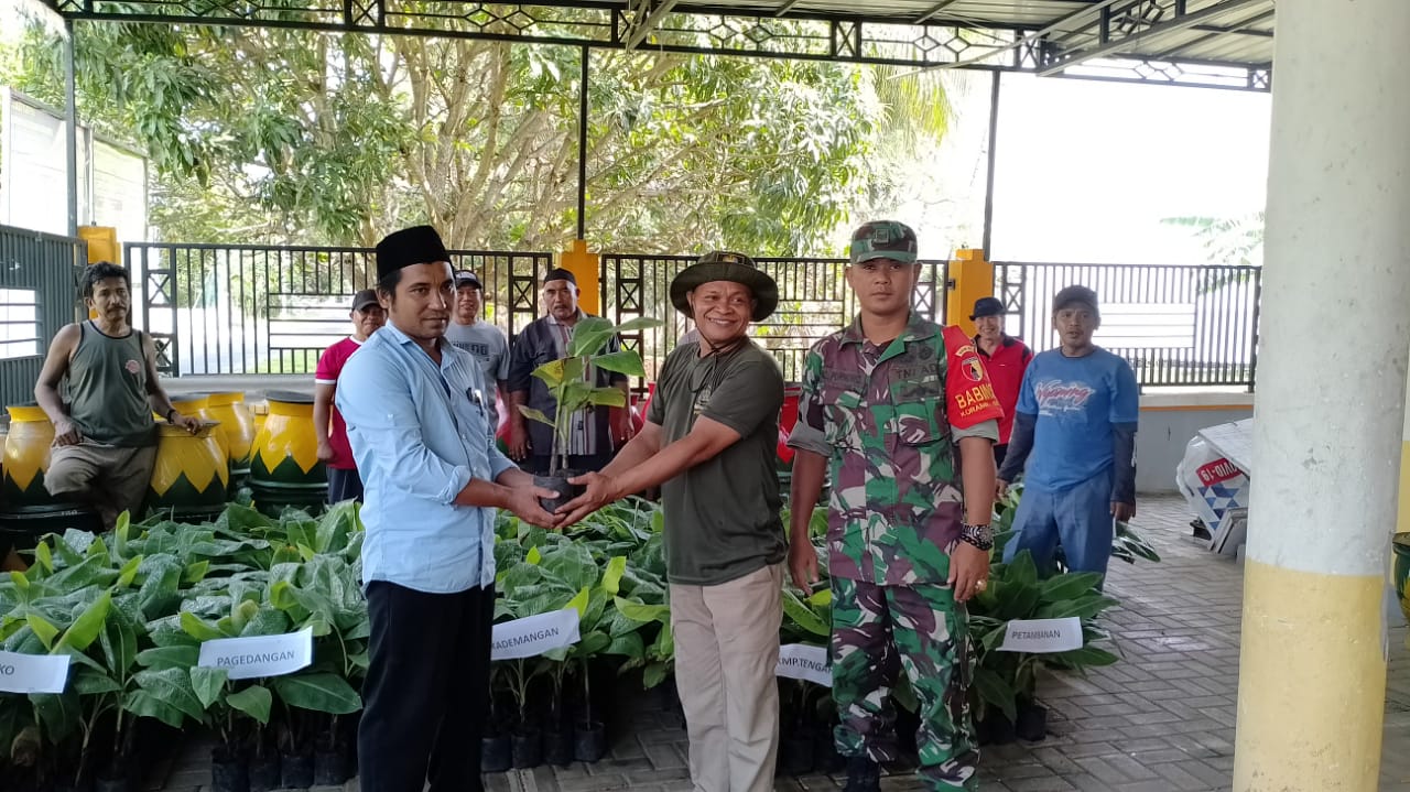 Babinsa Diponggo Dampingi Perangkat Desa bagikan Bibit Pisang Chavendis ke Warga Binaan