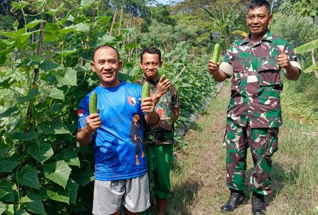 Danrem 081/DSJ Rawat Gado-Gado Bosbow Agar Semakin Bermanfaat