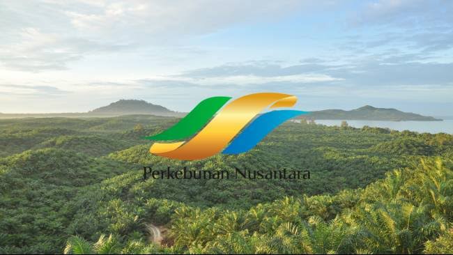 Ini Yang Dilakukan Holding Perkebunanan Nusantara Kepada Vendor