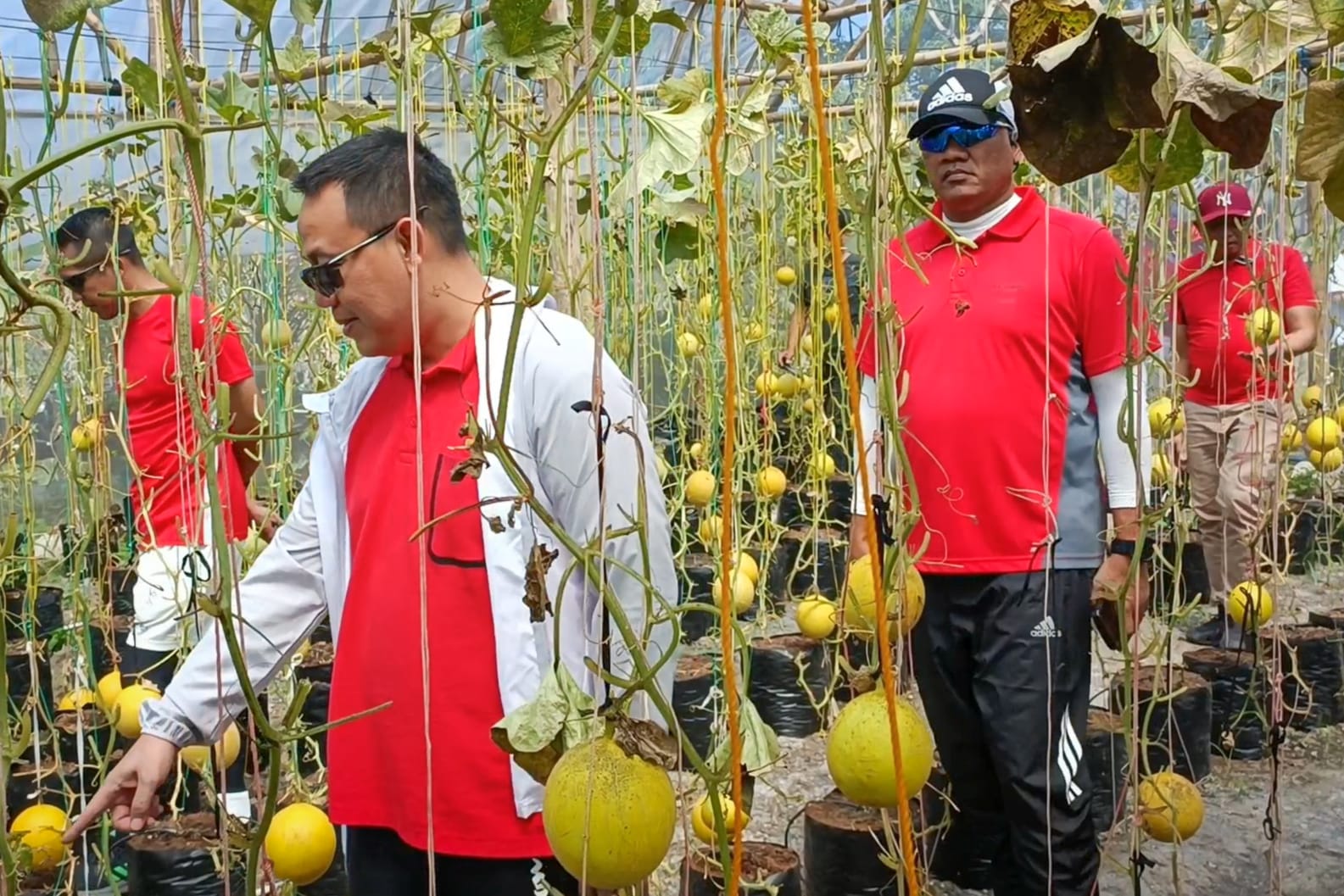 Dandim Gresik Dampingi Bupati dalam Rangkaian Kegiatan Memperingati HUT Kemerdekaan RI ke 78 Kabupaten Gresik