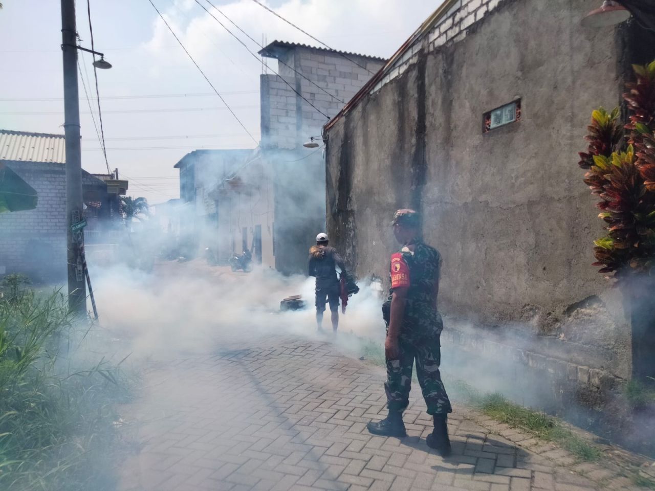 Antisipasi Penyakit Demam Berdarah Dengue, Babinsa Dampingi Kegiatan Fogging