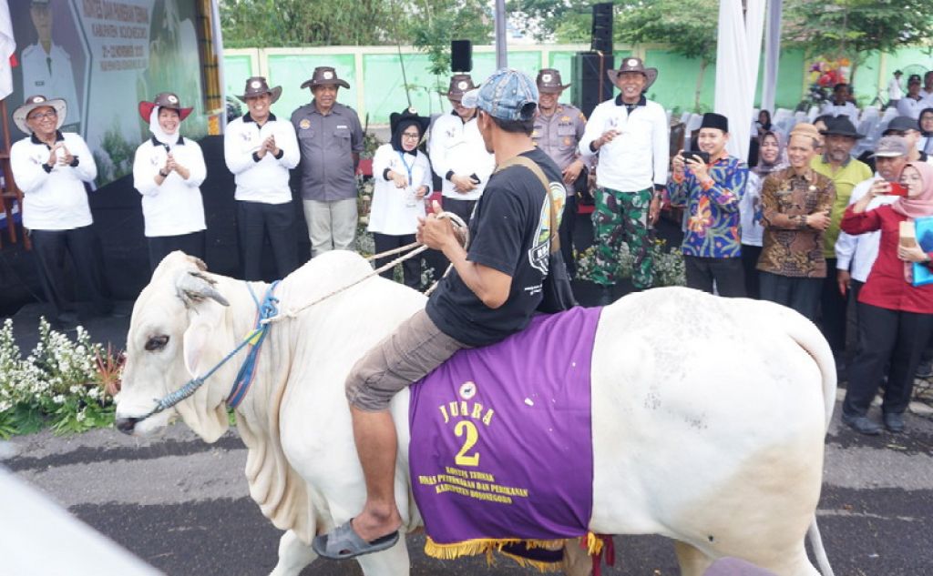 Ini Dia Pemenang Kontes Ternak yang di Gelar Pemkab Bojonegoro