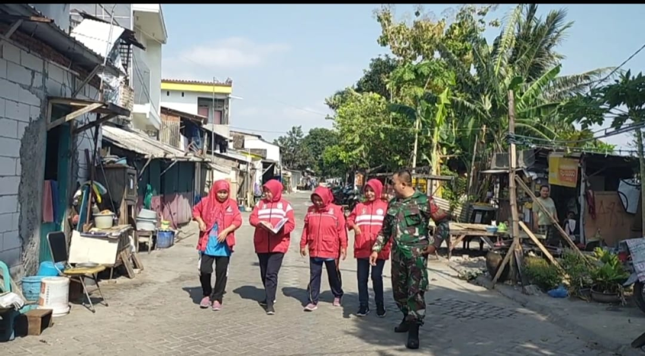 Babinsa Sidotopo Koramil 0830/02 Semampir Giatkan Pemeriksaan Jentik Nyamuk