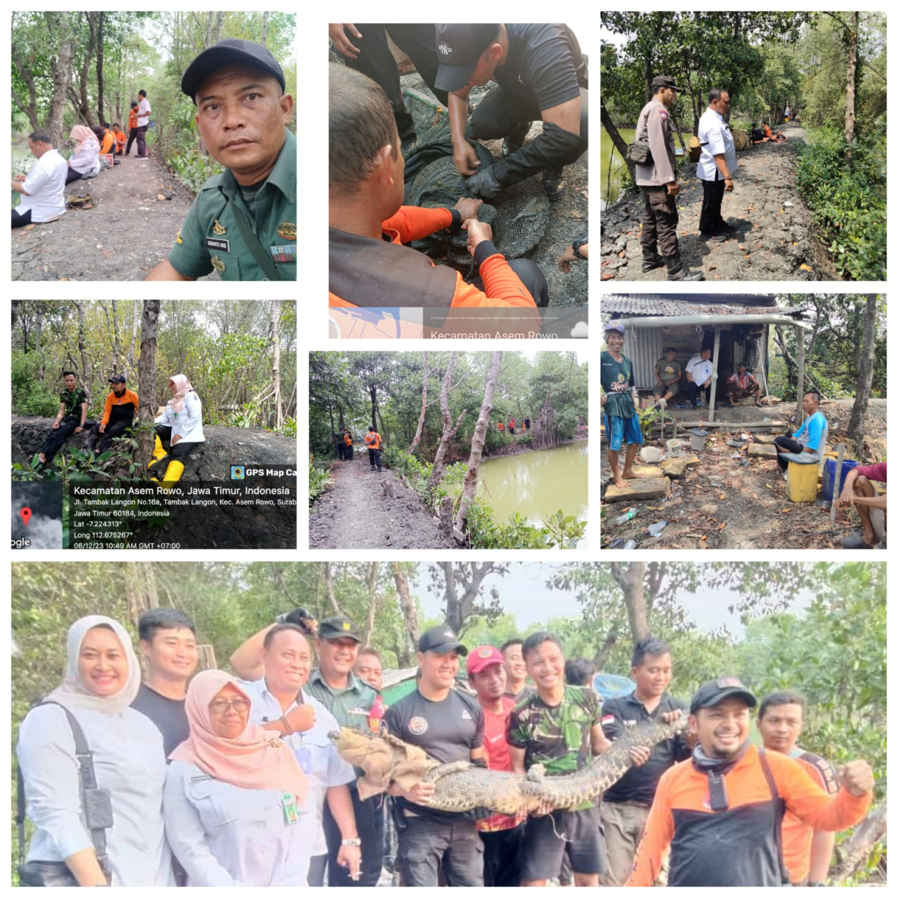 Dua Penampakan Buaya Gegerkan Warga Surabaya Tambak Sarioso, Satu Tertangkap!!