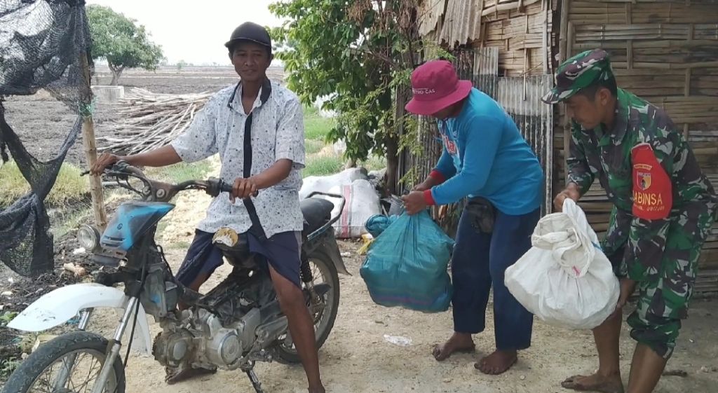 Dampingi Warga Panen Pare Inilah Action Babinsa kodim 0817