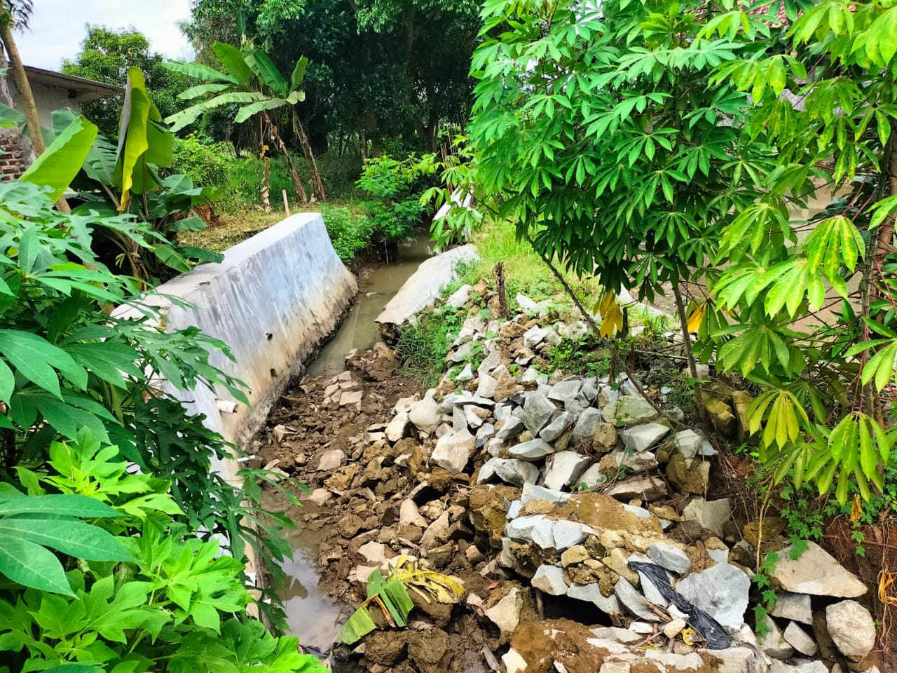 Akibat Kurangnya Pengawasan, Penurapan Saluran Blok Ma Eti Dusun Darawolong Ambruk