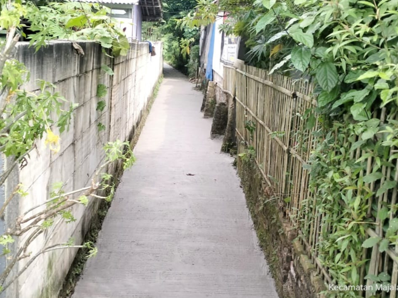 Lingkungan jalan setapak di Desa Pasir Mulya. (Foto: Dok/istmw/@di rakyatjelata.com)