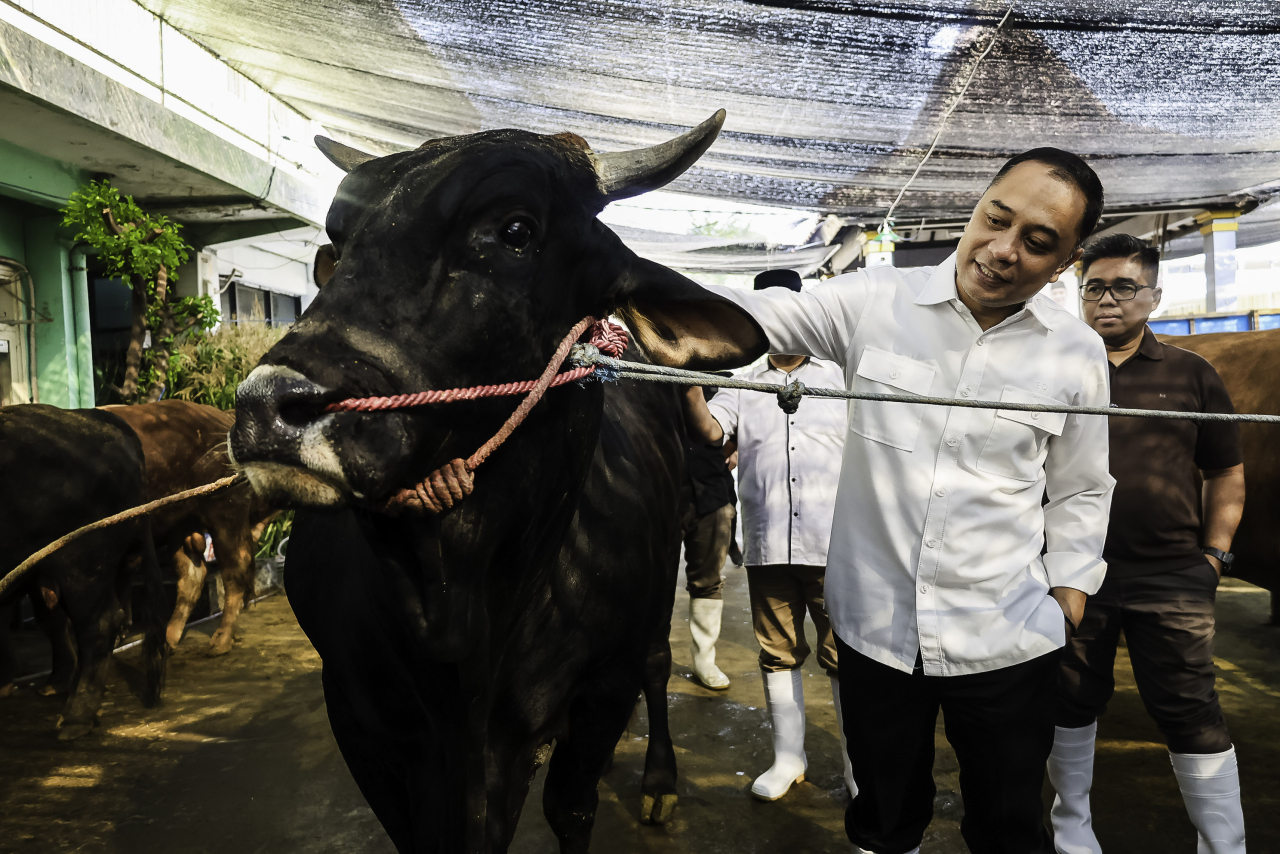Wali Kota Surabaya Eri Cahyadi memastikan hewan qurbqn yang masuk RPH benar sehat (Foto: dok istimewa)