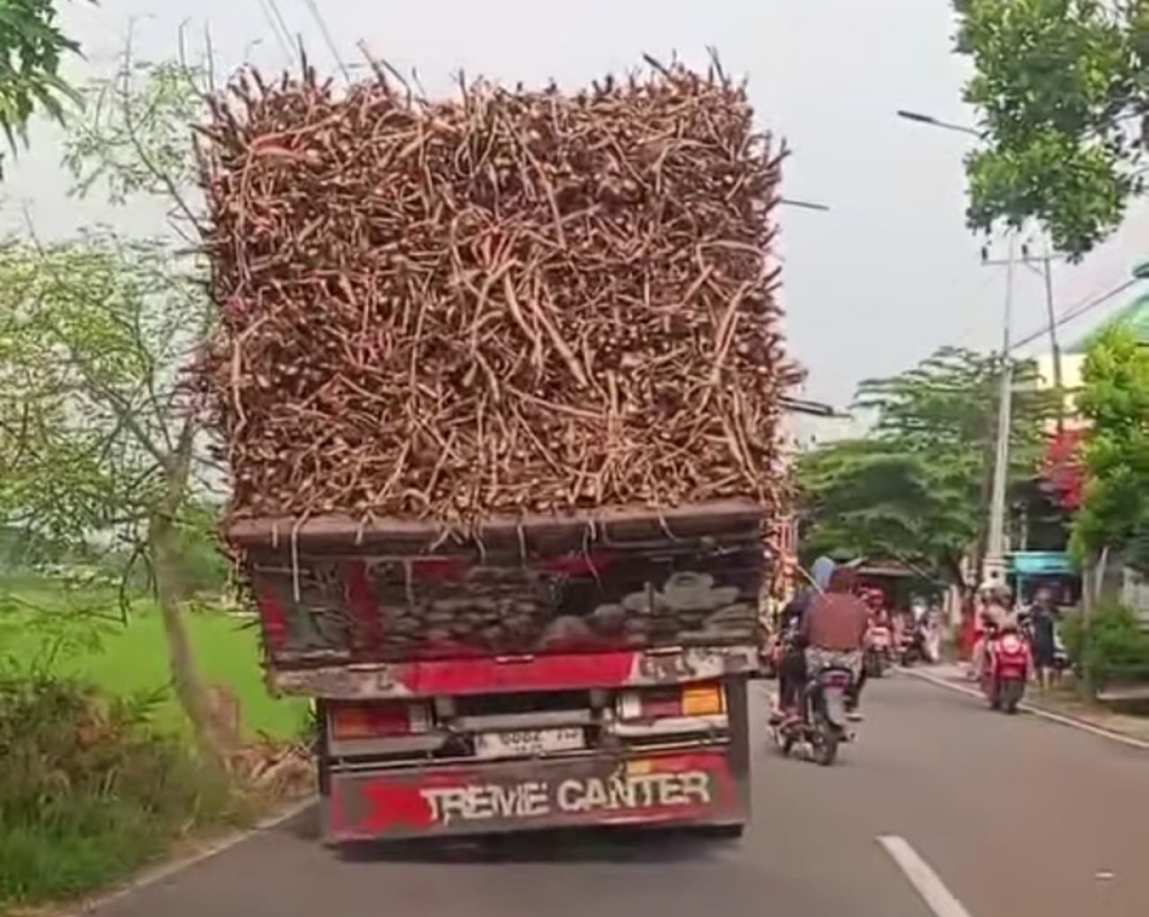 Remaja di Bojonegoro Tewas usai Motornya Tabrakan dengan Truck Muatan Tebu