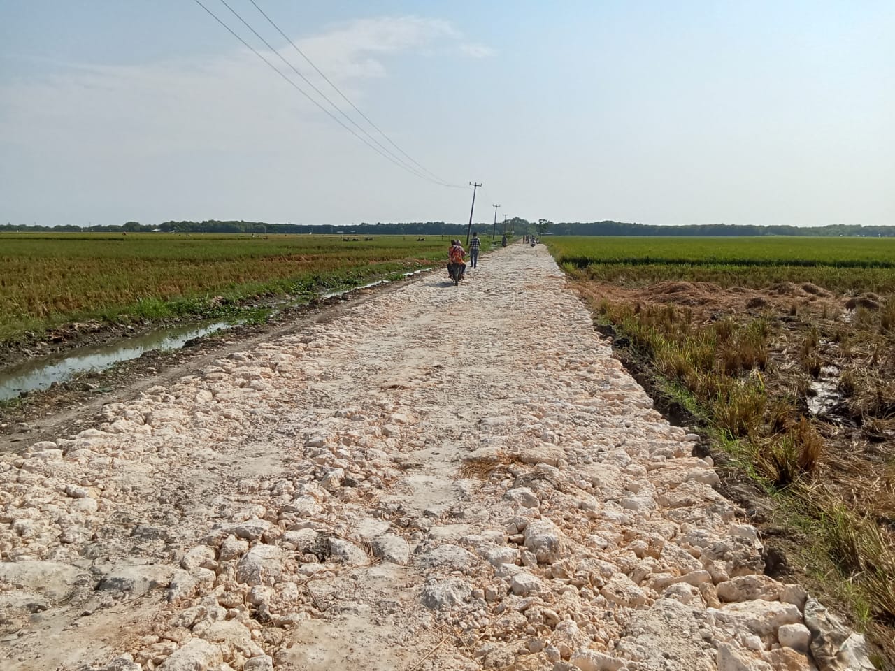 Pokja Diduga 'Main Mata' dengan Kontraktor, Atur Pemenang Lelang Peningkatan Jalan Pasirukem-Pasirjaya