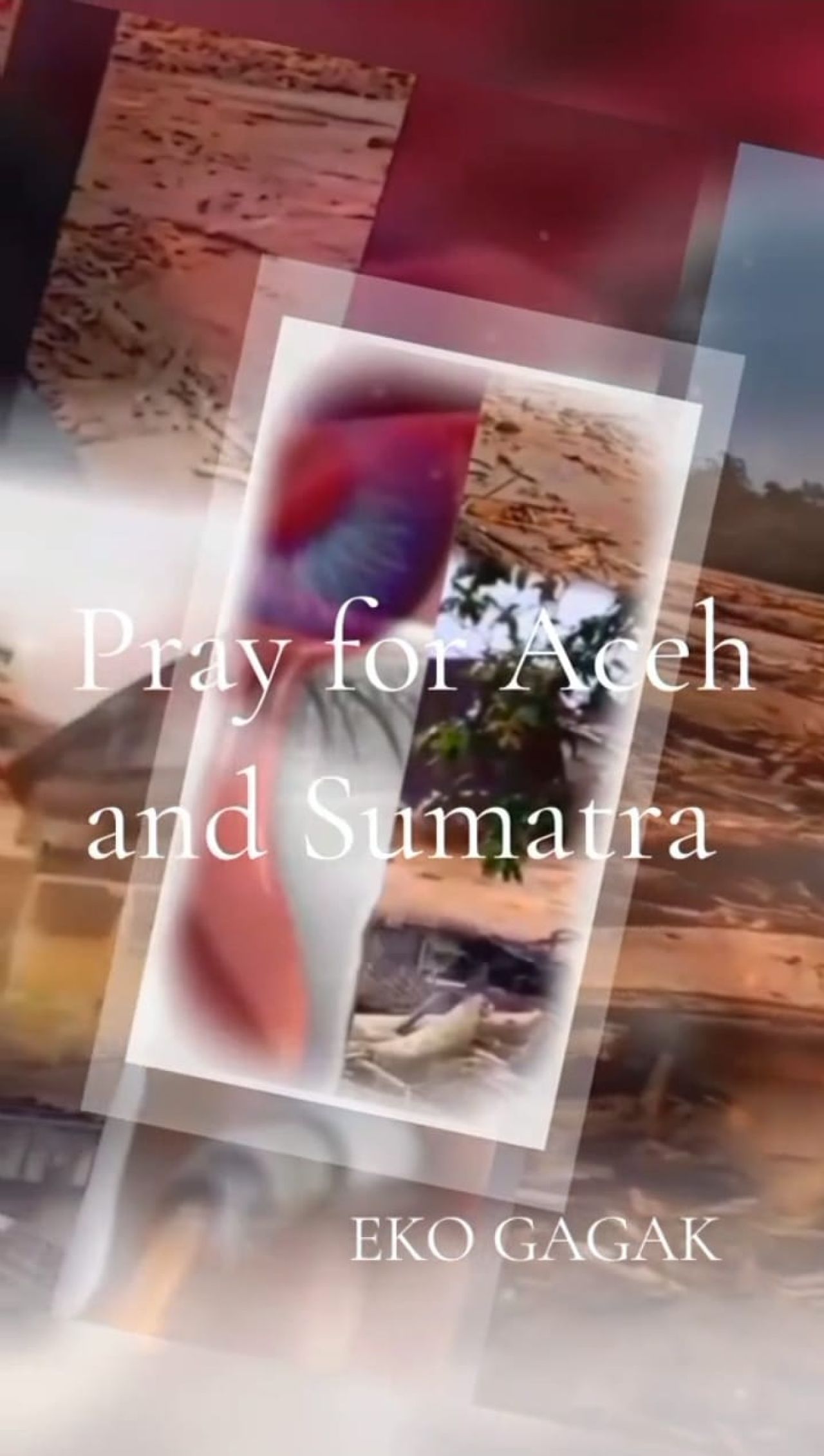Pray for Aceh and Sumatra Tetapkan Menjadi Bencana Nasional 
